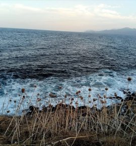 Foto del mare e dell'orizzonte